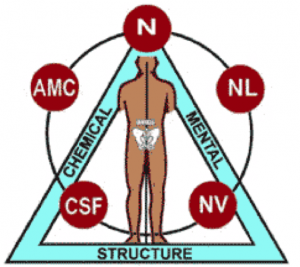 Triad of Health